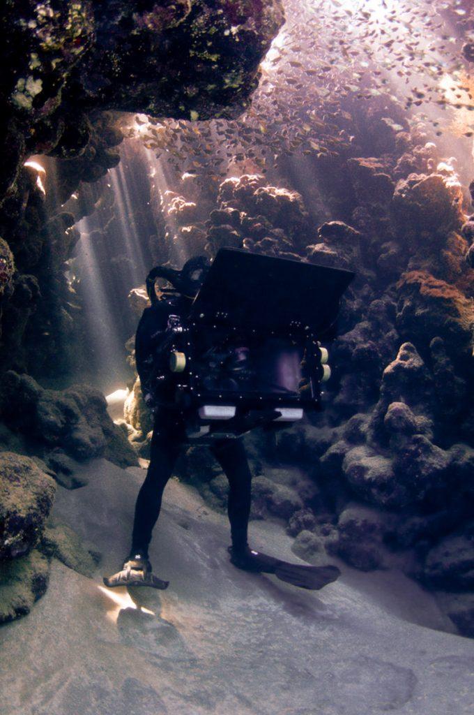 Doug Anderson and Hugh Miller film Lion Fish hunting Glass Fish in a underwater cavern for BBC Enchanted Kingdom, Red Sea  BBC Netflix Apple TV Wildlife Filming Filmmaking Underwater Natural History Ocean Cinematography Gates  Housings Nauticam REvo Rebreathers SCUBA