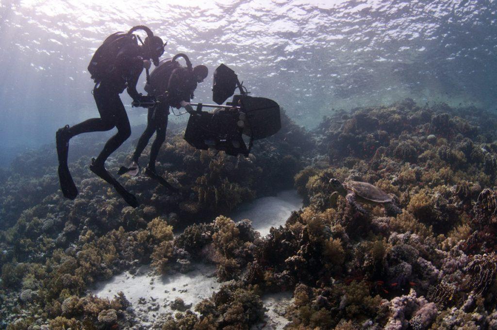 Doug Anderson and Hugh Miller film a Sea Turtle in 3D for BBC Enchanted Kingdom  BBC Netflix Apple TV Wildlife Filming Filmmaking Underwater Natural History Ocean Cinematography Gates  Housings Nauticam REvo Rebreathers SCUBA