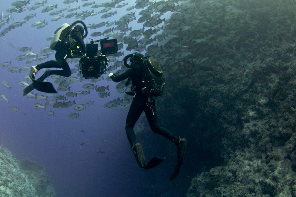 Doug Anderson and Hugh Miller film for BBC Enchanted Kingdom, Red Sea  BBC Netflix Apple TV Wildlife Filming Filmmaking Underwater Natural History Ocean Cinematography Gates  Housings Nauticam REvo Rebreathers SCUBA