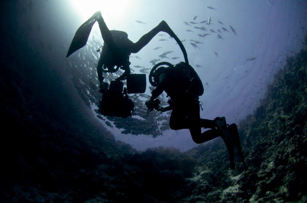 Doug Anderson and Hugh Miller film for BBC’s Enchanted Kingdom, Red Sea  BBC Netflix Apple TV Wildlife Filming Filmmaking Underwater Natural History Ocean Cinematography Gates  Housings Nauticam REvo Rebreathers SCUBA