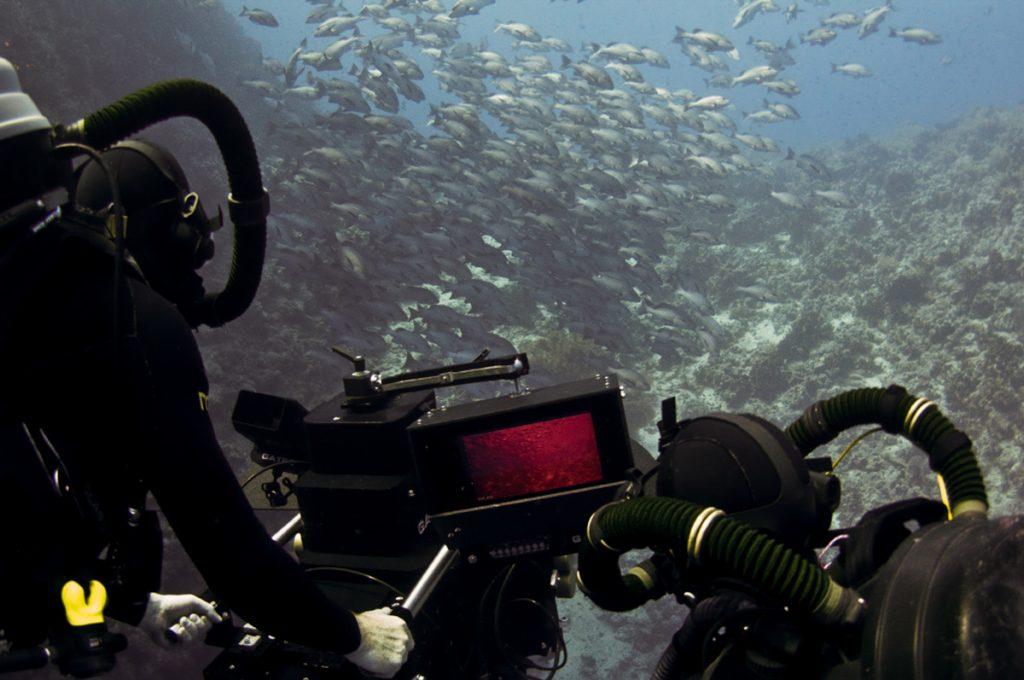 Doug Anderson and Hugh Miller use anaglyph 3D monitior underwater to control stereo image for BBC’s Enchanted Kingdom, Red Sea  BBC Netflix Apple TV Wildlife Filming Filmmaking Underwater Natural History Ocean Cinematography Gates  Housings Nauticam REvo Rebreathers SCUBA