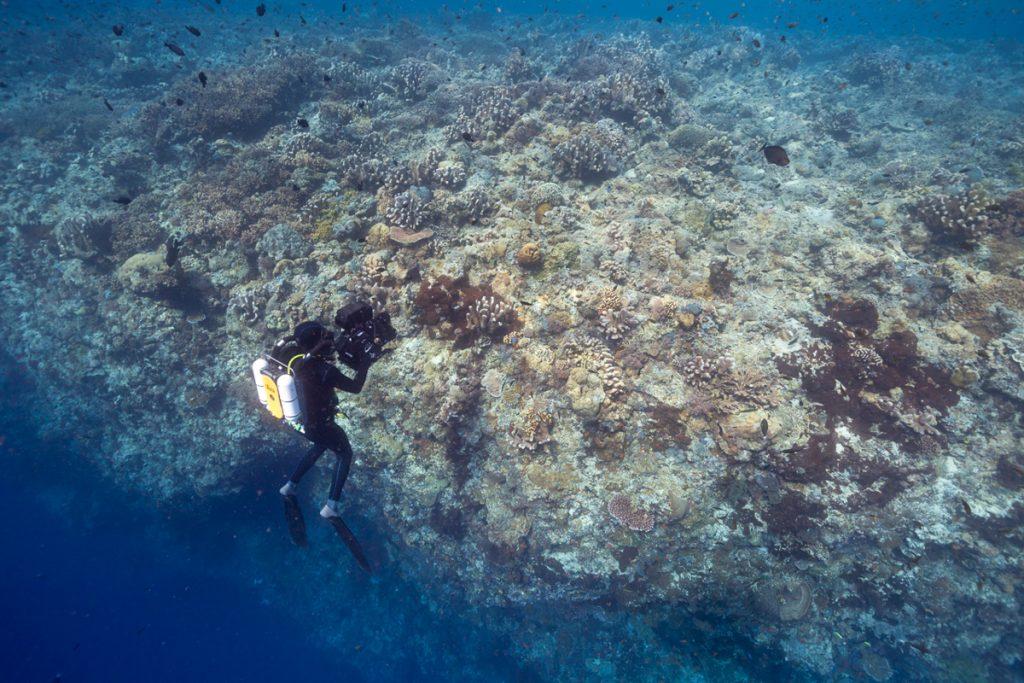 Doug Anderson filming Coral Reef scenes in Borneo for Disney, Dolphin Reef  BBC Netflix Apple TV Wildlife Filming Filmmaking Underwater Natural History Ocean Cinematography Gates  Housings Nauticam REvo Rebreathers SCUBA