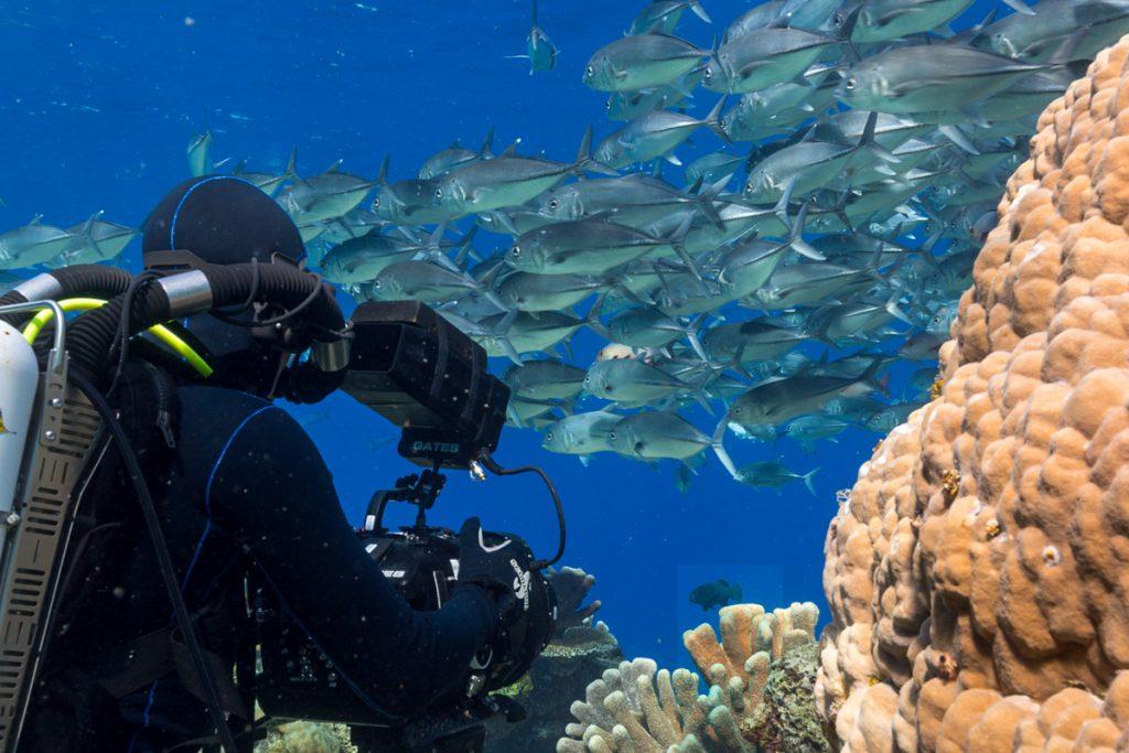 Doug Anderson filming Fish Reef scenes in Borneo for Disney, Dolphin Reef  BBC Netflix Apple TV Wildlife Filming Filmmaking Underwater Natural History Ocean Cinematography Gates  Housings Nauticam REvo Rebreathers SCUBA