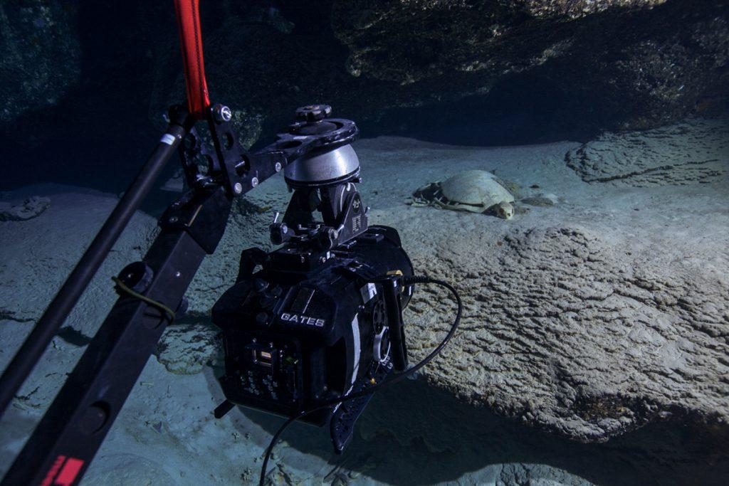 Doug Anderson using an underwater Jib to get shots of Sea Turtle skeletons in a cave in Borneo for Disney, Dolphin Reef  BBC Netflix Apple TV Wildlife Filming Filmmaking Underwater Natural History Ocean Cinematography Gates  Housings Nauticam REvo Rebreathers SCUBA