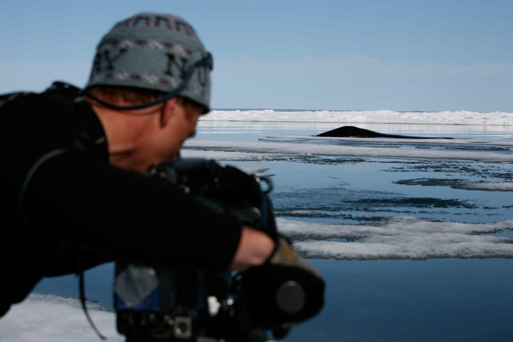 BBC Netflix Apple TV Wildlife Filming Filmmaking Underwater Natural History Ocean Cinematography Gates  Housings Nauticam REvo Rebreathers SCUBA Finistare clothingDoug Anderson filming Ice Whales from the flow edge.