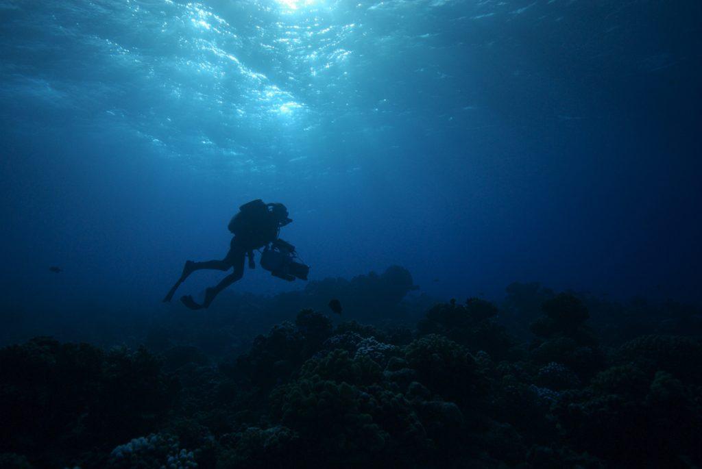 Doug Anderson Dives a Biomarine Mk155 and uses a Peter Scoones Necton Housing to film in the evening on a coral reef.  BBC Netflix Apple TV Wildlife Filming Filmmaking Underwater Natural History Ocean Cinematography Gates  Housings Nauticam REvo Rebreathers SCUBA