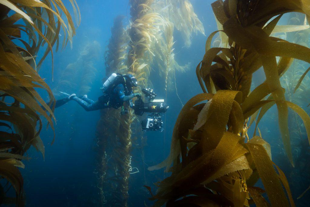 Doug Anderson and using an under water Scooter to scenics in the Californian Giant Kelp Forest.  BBC Netflix Apple TV Wildlife Filming Filmmaking Underwater Natural History Ocean Cinematography Gates  Housings Nauticam REvo Rebreathers SCUBA Finistare clothing