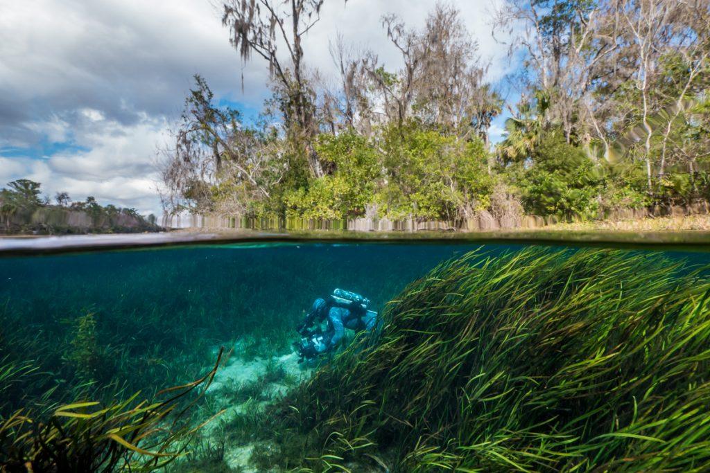 Doug Anderson filming underwater scenics is Florida Springs BBC Netflix Apple TV Wildlife Filming Filmmaking Underwater Natural History Ocean Cinematography Gates  Housings Nauticam REvo Rebreathers SCUBA