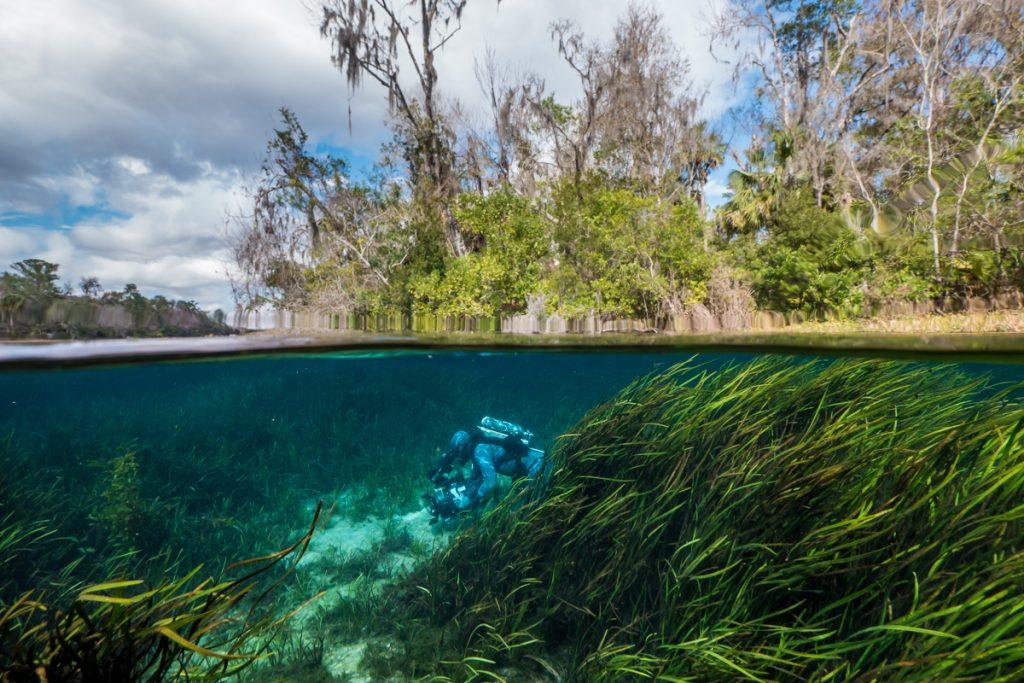 Doug Anderson filming underwater scenics is Florida Springs BBC Netflix Apple TV Wildlife Filming Filmmaking Underwater Natural History Ocean Cinematography Gates  Housings Nauticam REvo Rebreathers SCUBA