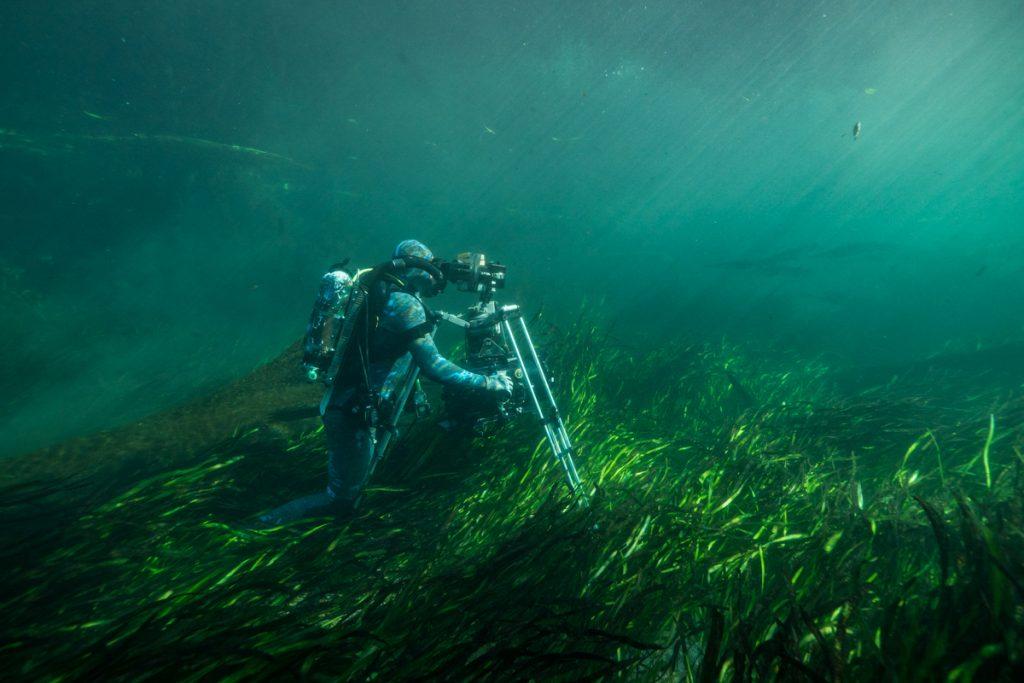BBC Netflix Apple TV Wildlife Filming Filmmaking Underwater Natural History Ocean Cinematography Gates  Housings Nauticam REvo Rebreathers SCUBA Doug Anderson filming underwater scenics is Florida Springs